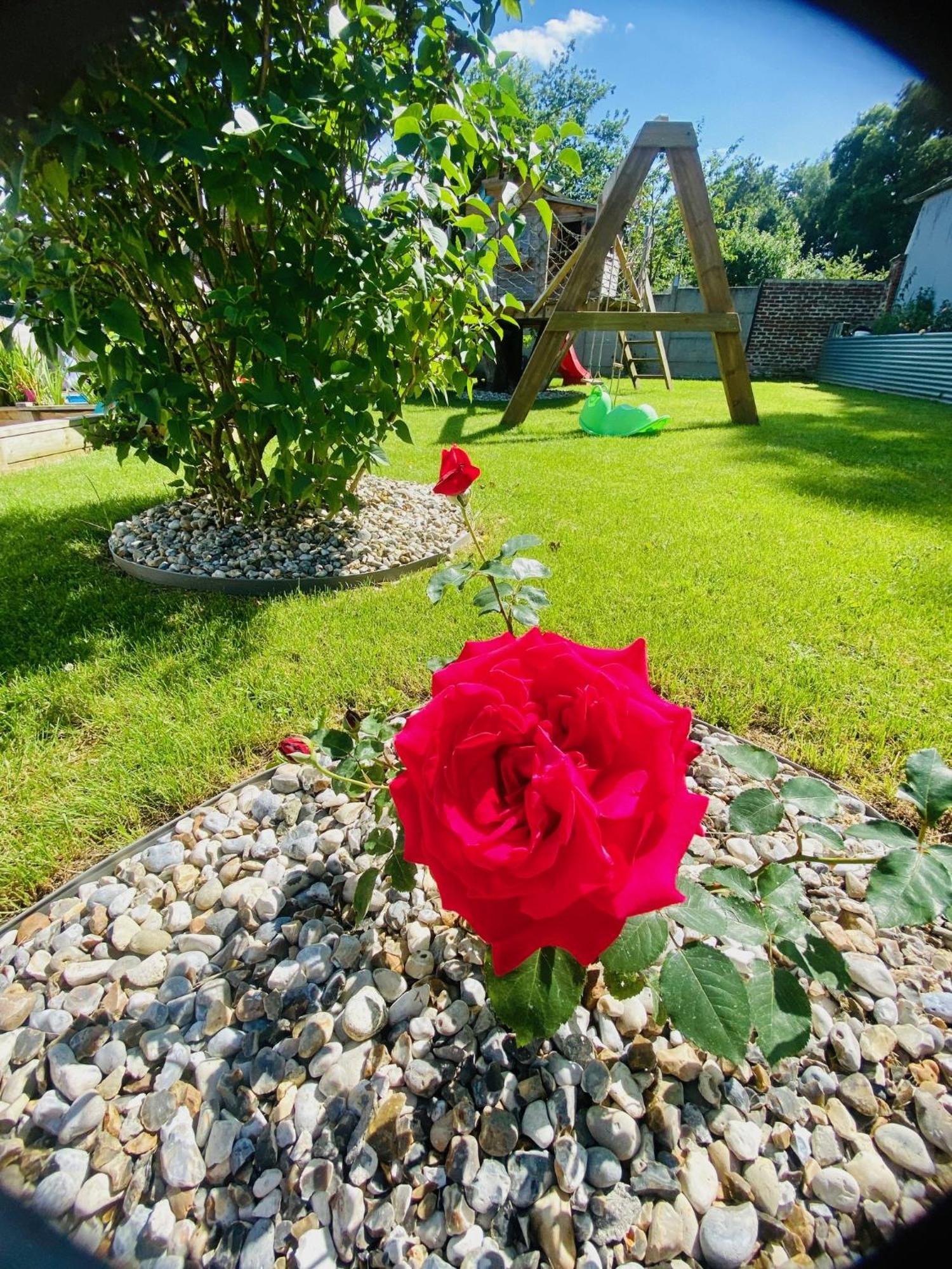 Englebelmer Les 3 E Bed & Breakfast エクステリア 写真